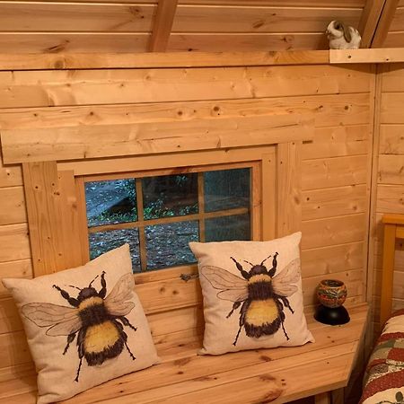 Villa Starry Meadow & Rescued Animal Experiences Great Yarmouth Zimmer foto