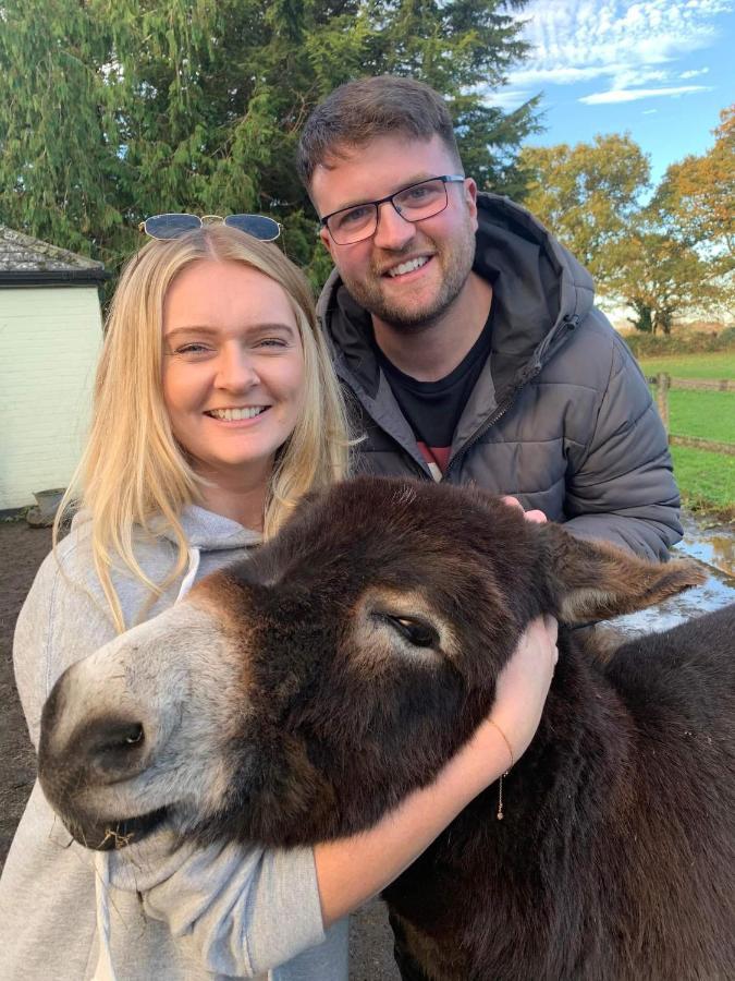 Villa Starry Meadow & Rescued Animal Experiences Great Yarmouth Exterior foto