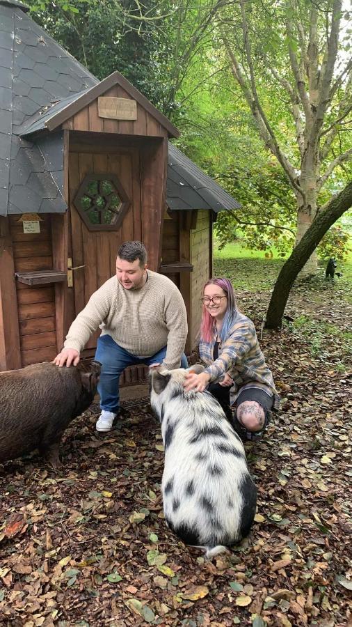 Villa Starry Meadow & Rescued Animal Experiences Great Yarmouth Exterior foto