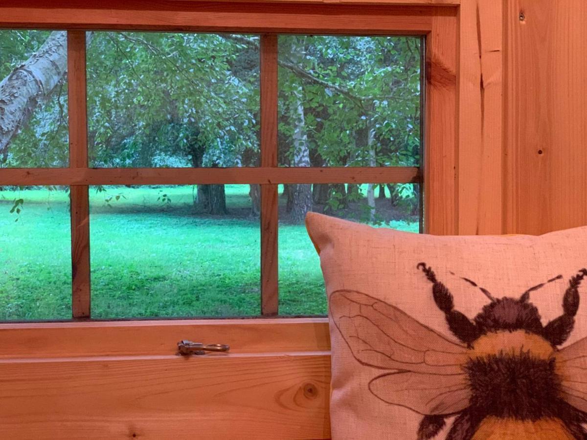 Villa Starry Meadow & Rescued Animal Experiences Great Yarmouth Exterior foto