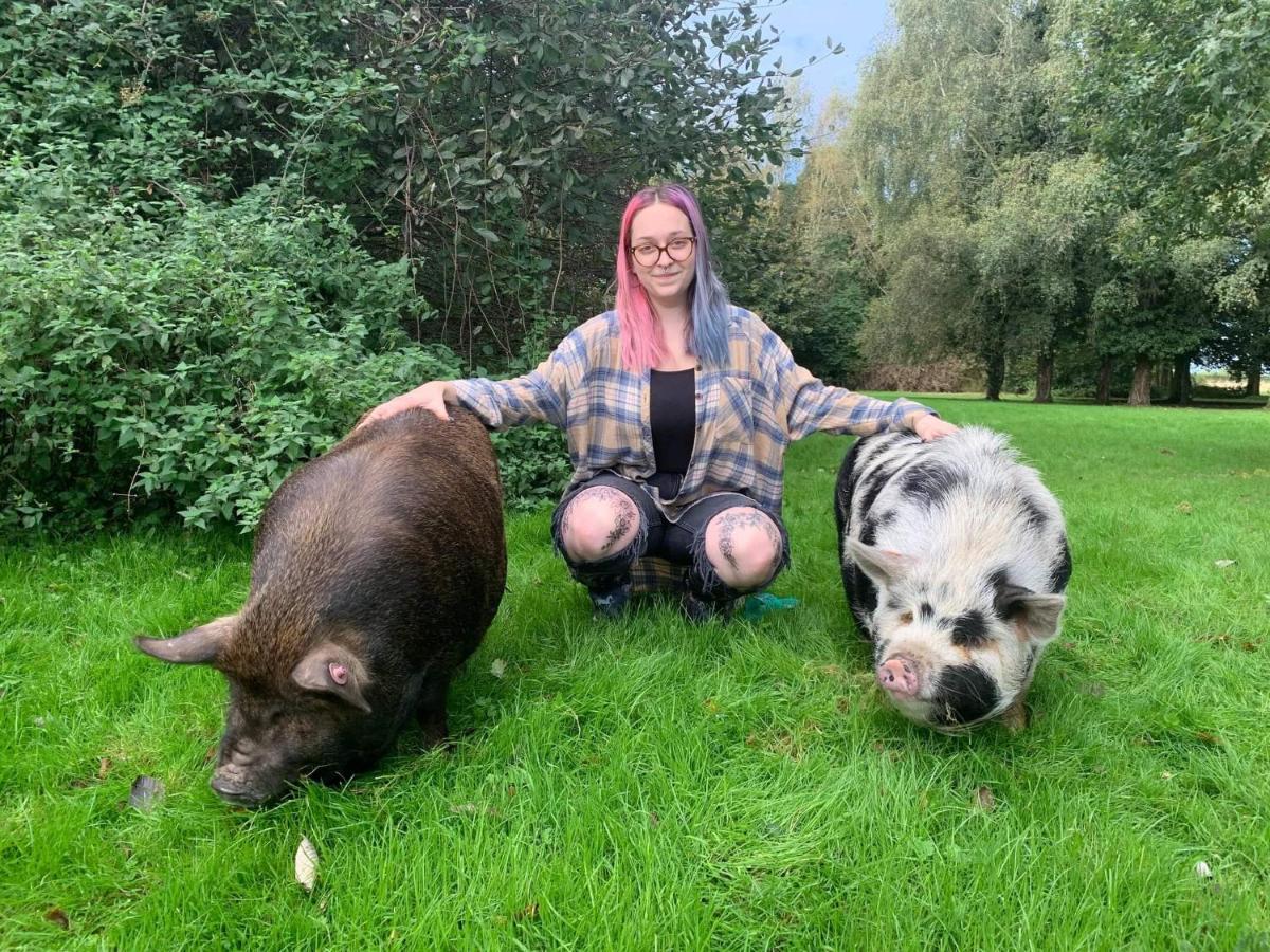 Villa Starry Meadow & Rescued Animal Experiences Great Yarmouth Exterior foto