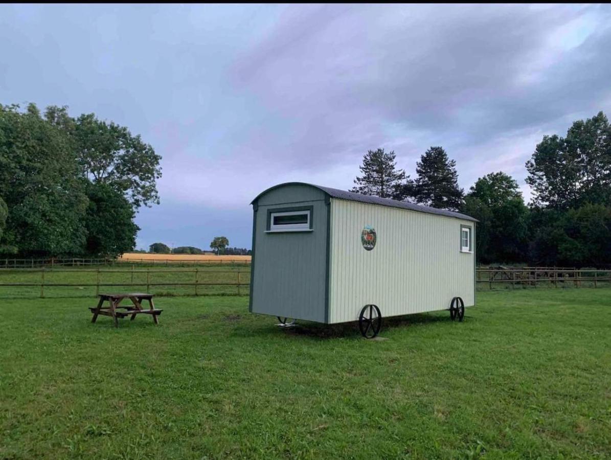 Villa Starry Meadow & Rescued Animal Experiences Great Yarmouth Exterior foto