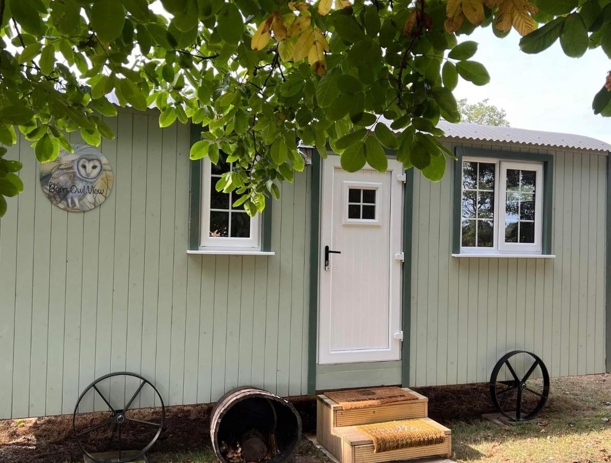 Villa Starry Meadow & Rescued Animal Experiences Great Yarmouth Zimmer foto