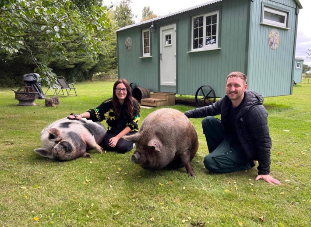 Villa Starry Meadow & Rescued Animal Experiences Great Yarmouth Exterior foto