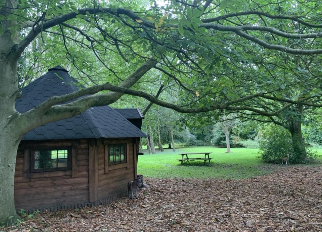 Villa Starry Meadow & Rescued Animal Experiences Great Yarmouth Exterior foto